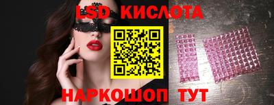 шишки Изобильный