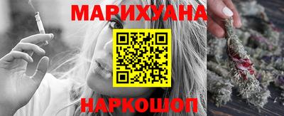шишки Изобильный