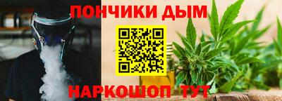 шишки Изобильный