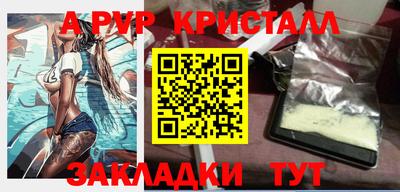 шишки Изобильный