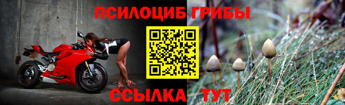 Галлюциногенные грибы Magic Shrooms Холмск